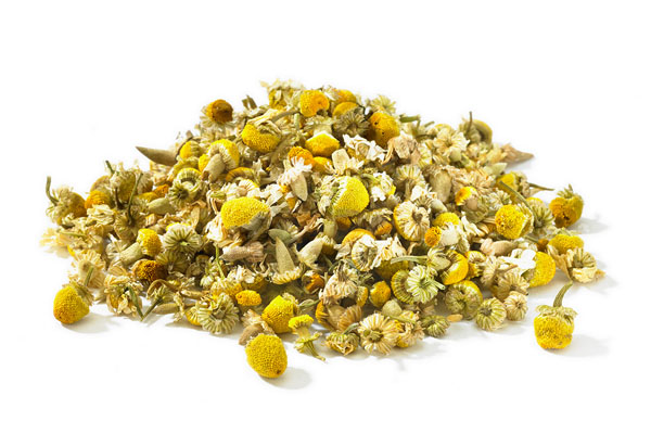 Camomile