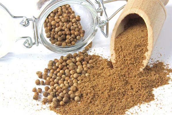 Coriander