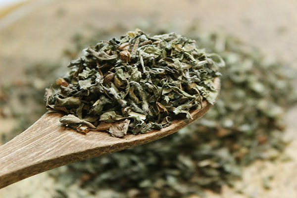 basil