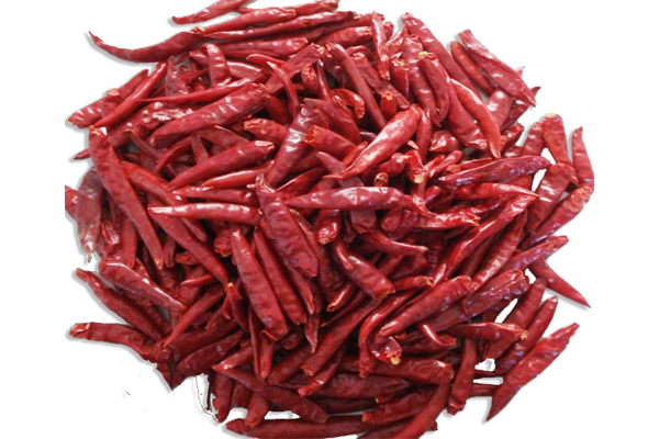 chilli