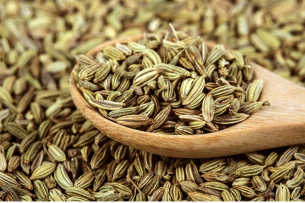 fennel