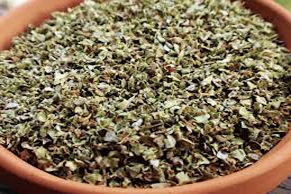 marjoram