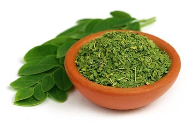 moringa